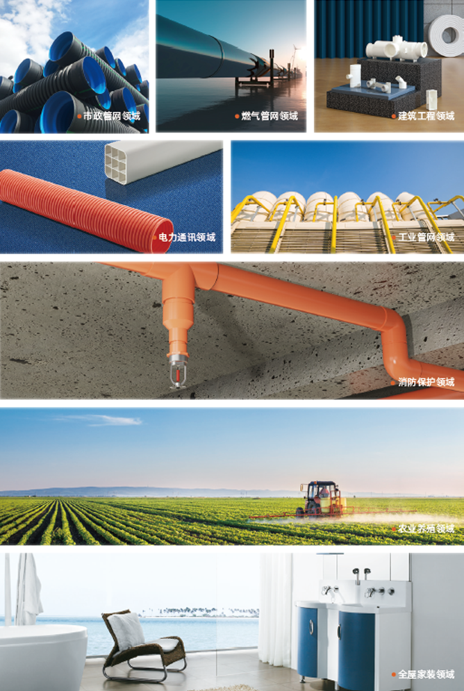 博天堂(918)官方网站 - 让你更精彩